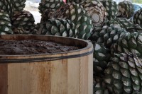 /album/fotogaleria/fermentacion-jpg/