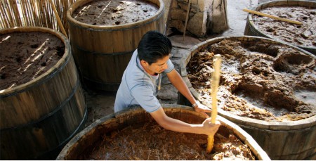 Fermentación 