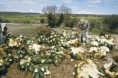 /album/fotogaleria-fotogaleria/mezcal5056-jpg/