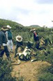 /album/fotogaleria-fotogaleria/mezcal5237-jpg/